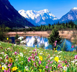 Music For Springtime